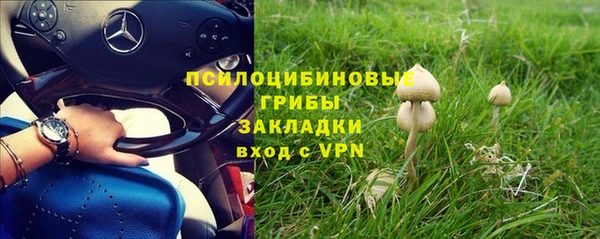 альфа пвп Вяземский