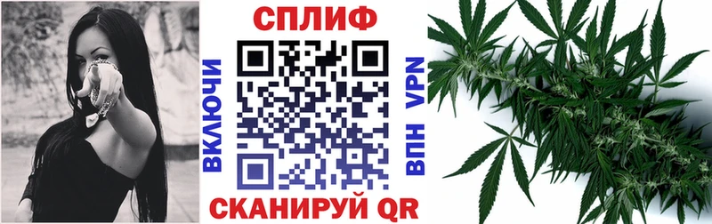 Шишки марихуана MAZAR  Купить закладки  Татарск 